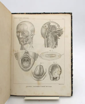 Traité d'anatomie descriptive. Splanchnologie planches. CLOQUET (Hippolyte)