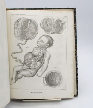 Traité d'anatomie descriptive. Splanchnologie planches. CLOQUET (Hippolyte)