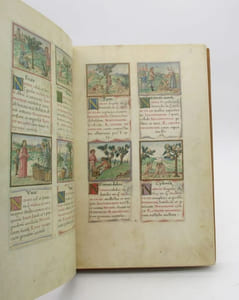 Enchiridion virtutum vegetabilium, animalium, mineralium rerumque omnium explicans naturam, juvamentum, nocumentum remotionemque nocumentorum eorum