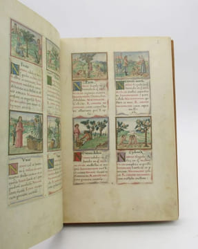 Enchiridion virtutum vegetabilium, animalium, mineralium rerumque omnium explicans naturam, juvamentum, nocumentum remotionemque nocumentorum eorum. ...