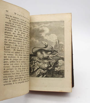 Histoire des découvertes faites par divers savans voyageurs dans plusieurs contrées de la Russie & de la Perse. [PALLAS (P.S.); GEMLIN (S.G.); ...