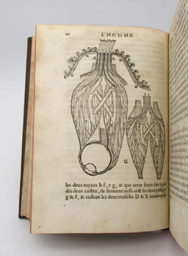 L'Homme de René Descartes et un Traité de la formation du foetus. DESCARTES (René); LA FORGE (Louis de)