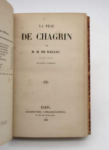 La Peau de chagrin