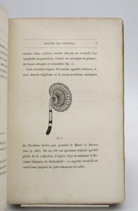 Histoire des éventails chez tous les peuples et à toutes les époques