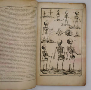 Exposition exacte ou Tableau anatomique en tailles-douces des différentes parties du corps humain