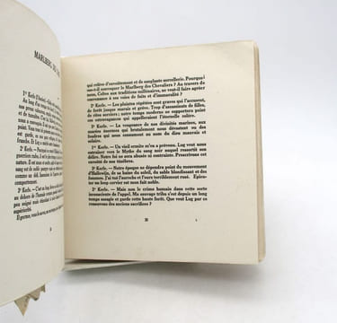 La Saga de Lug Hallewijn. LOOTEN (Emmanuel)