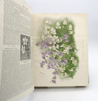 The Garden : an Illustrated weekly journal of Horticulture in all its branches