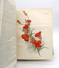The Garden : an Illustrated weekly journal of Horticulture in all its branches