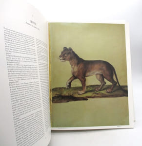 Le Bestiaire de Rodolphe II
