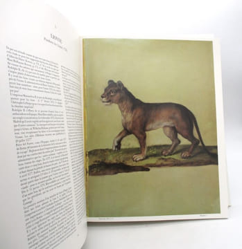 Le Bestiaire de Rodolphe II. undefined