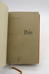 Ibis
