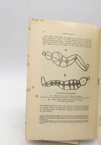 Le Mariage et la Mort au Godjam - Le Totem de l'Aloès en Abyssinie