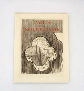 Paris vu de Notre-Dame