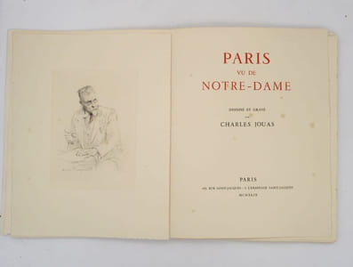 Paris vu de Notre-Dame
