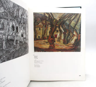 Chaïm Soutine (1893-1943) : Catalogue raisonné