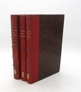 Chronographia regum Francorum