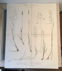 Album Vilmorin de graminées fourragères