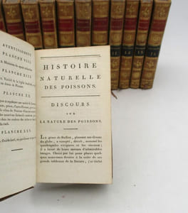 Histoire naturelle par Buffon des Poissons