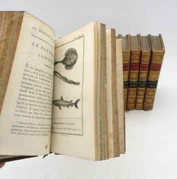 Histoire naturelle par Buffon des Poissons. LACÉPÈDE (Bernard Germain Étienne de Laville-sur-Illon, comte de); [BUFFON (Georges-Louis Leclerc, comte ...