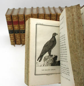 Histoire naturelle par Buffon : Oiseaux