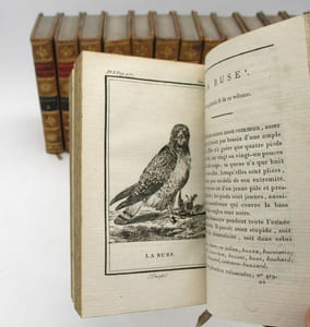 Histoire naturelle par Buffon : Oiseaux