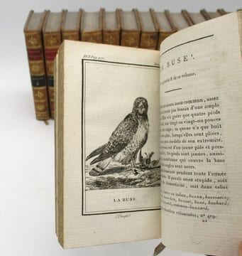 Histoire naturelle par Buffon : Oiseaux. BUFFON (Georges-Louis Leclerc, comte de)
