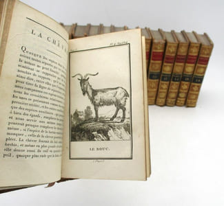 Histoire naturelle par Buffon : Quadrupèdes