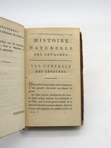 Histoire naturelle des cétacées