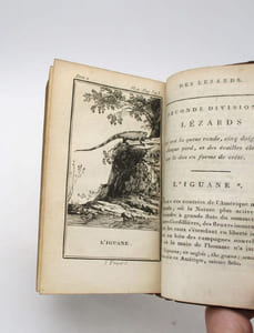Histoire naturelle des quadrupèdes ovipares et des serpents.