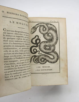 Histoire naturelle des quadrupèdes ovipares et des serpents.. LACÉPÈDE (Bernard Germain Étienne de Laville-sur-Illon, comte de); [BUFFON ...