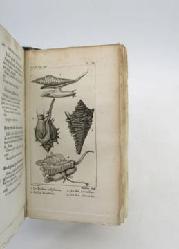 Histoire naturelle des coquilles, contenant leur description, leurs moeurs des animaux qui les habitent et leurs usages. BOSC (L.A.G.)
