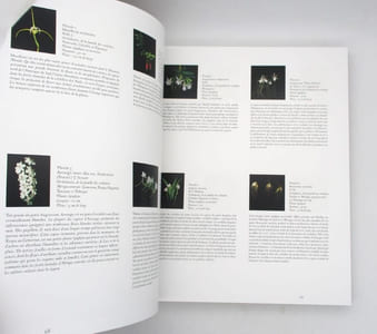 Botanica Magnifica : Les Fleurs et Plantes les plus extraordinaires et les plus rares du monde