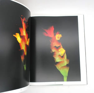 Botanica Magnifica : Les Fleurs et Plantes les plus extraordinaires et les plus rares du monde
