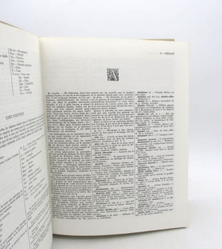 Dictionnaire du béarnais et du gascon modernes (bassin Aquitain) embrassant les dialectes du Béarn, de la Bigorre, du Gers, des Landes et de la ...