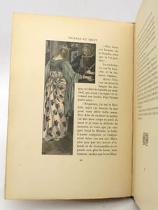 Le Roman de Tristan et Iseut
