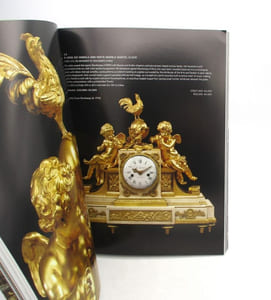 The Champalimaud collection