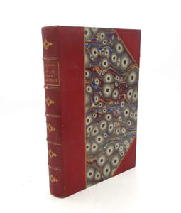 Chronique du règne de Charles IX