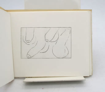 Pages égarées