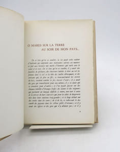 La Diane française