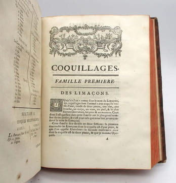 Histoire naturelle du Sénégal : coquillages. Avec la relation abrégée d'un voyage fait en ce pays, pendants les années 1749, 50, 51, 52 &53. ADANSON ...