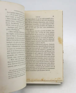 Correspondance de Michel Bakounine. Lettres à Herzen et à Ogareff (1860-1874)