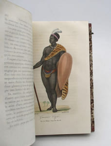 Collection de voyages modernes effectués par mer ou par terre dans les cinq parties du monde (Afrique, Asie, Amérique, Océanie et Europe) depuis 1800 jusqu'à nos jours