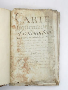 Carte figurative et renouvellement des tenans et aboutissans [...] de certaine disme de la seigneurie de Spÿrs situé au village de Curne chatelenie de Courtray appartenant à Messire Augustin Badÿ comte de Bossut : manuscrit