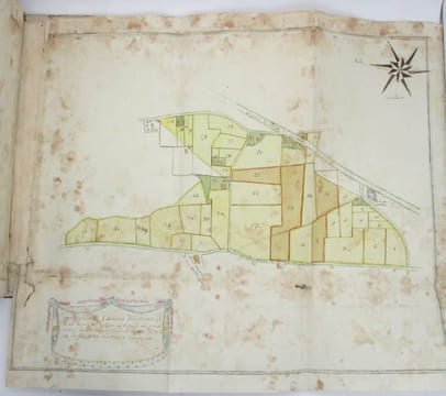 Carte figurative et renouvellement des tenans et aboutissans [...] de certaine disme de la seigneurie de Spÿrs situé au village de Curne chatelenie de ...