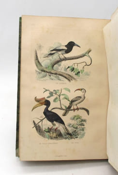 Oeuvres complètes de Buffon, avec des extraits de Daubenton, et la classification de Cuvier. BUFFON (Georges-Louis LECLERC DE); DAUBENTON (Louis ...