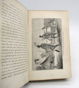 The Albert N'Yanza, Great Basin of the Nile and Explorations of the Nile Sources