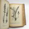 Les Plantes bulbeuses, tuberculeuses et rhizomateuses, ornementales, de serre et de pleine terre. GUIHÉNEUF (D.)