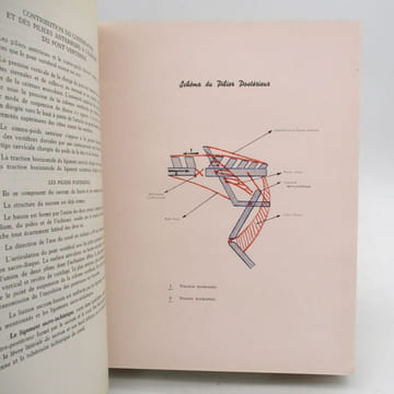 Mécanique équestre. ANDRÉ (Marcel)
