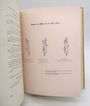Mécanique équestre. ANDRÉ (Marcel)
