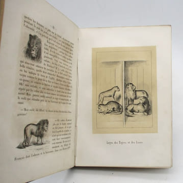 Buffon du jeune âge - Promenades au Jardin des plantes. [BÉFELET (Léonie)]